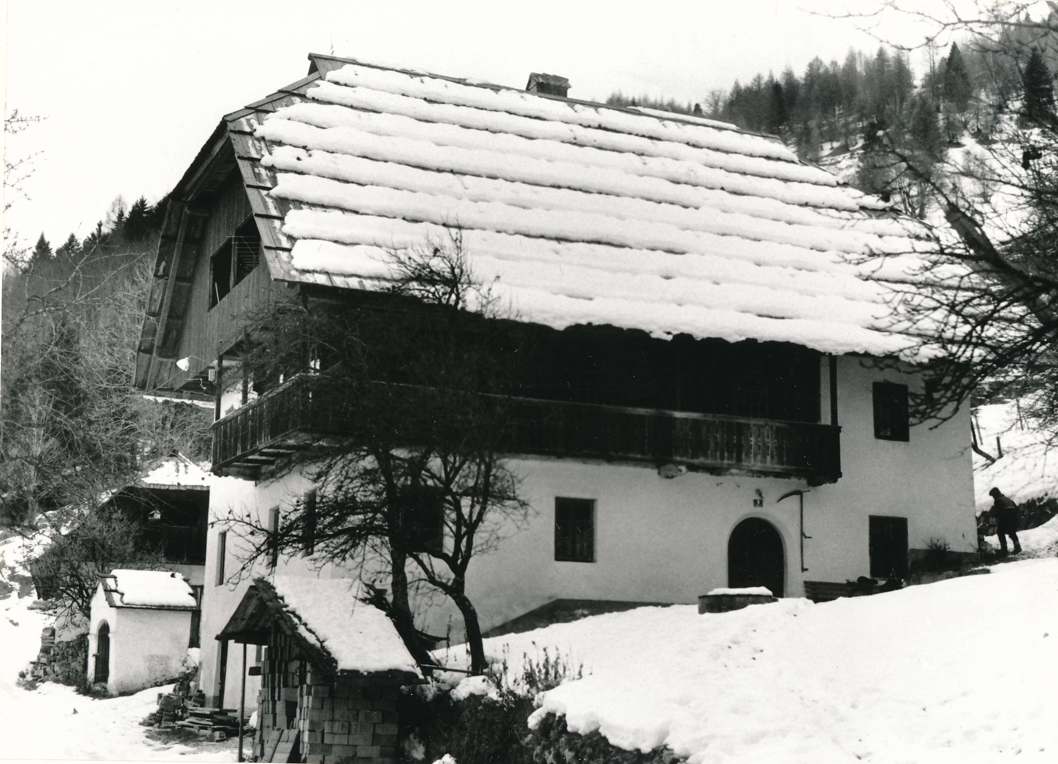 eika image